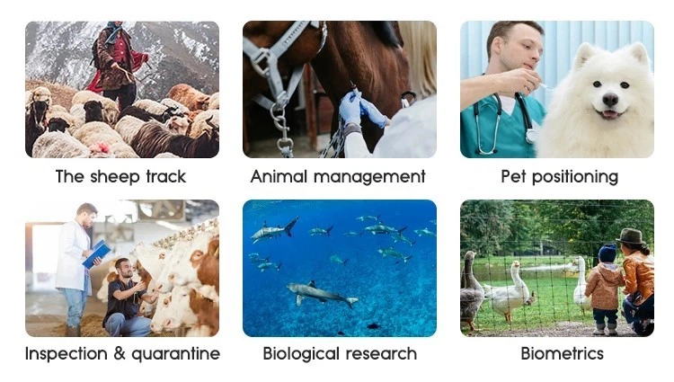 product-750-425 product-750-425